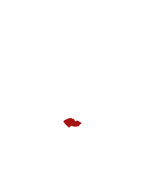czechy.png